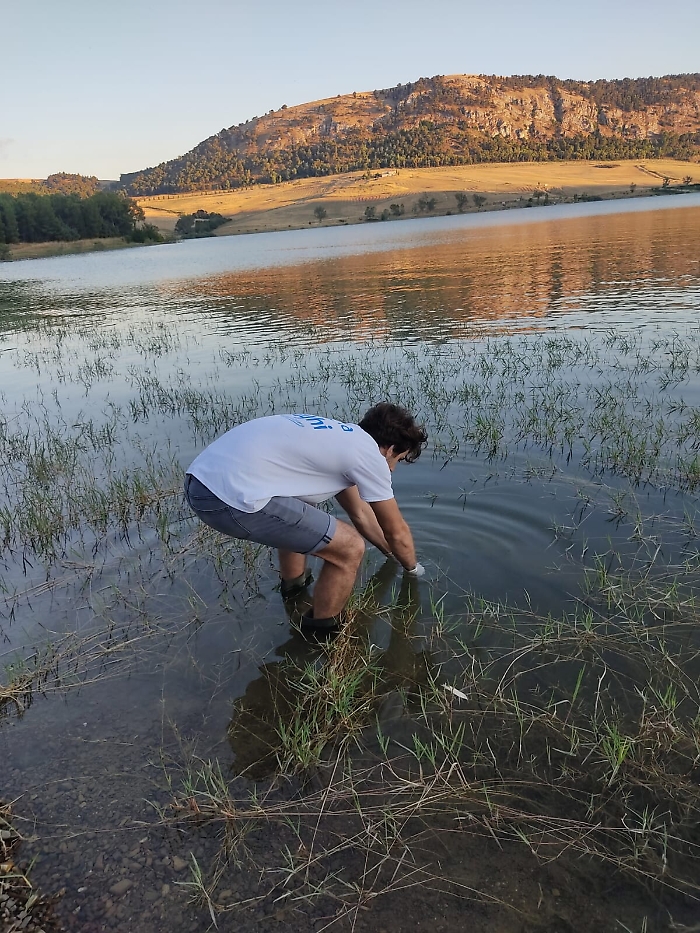 105242286-1a1ea4ce-49fe-471b-8e11-dcac3fc8e039