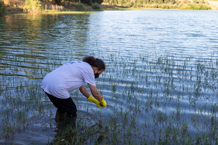 105336890-a3425bf1-f1cd-48bb-b364-f1f44182f881