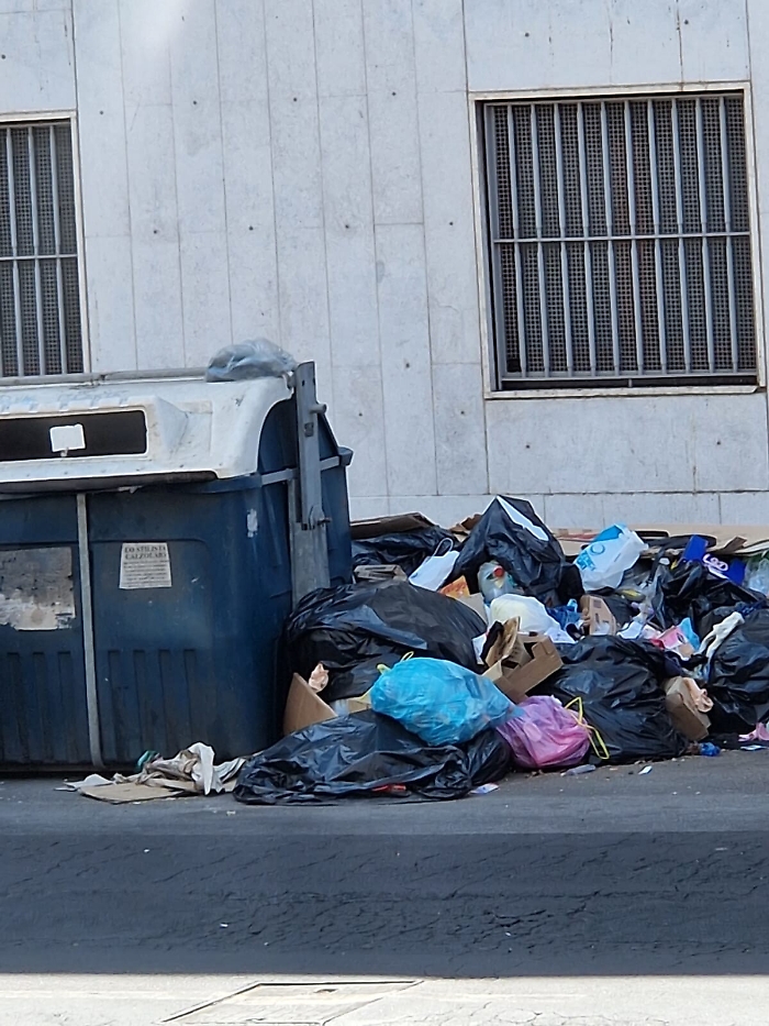 111309523-0ffbcf2f-7b5c-4334-ace5-ac21088e7a1b