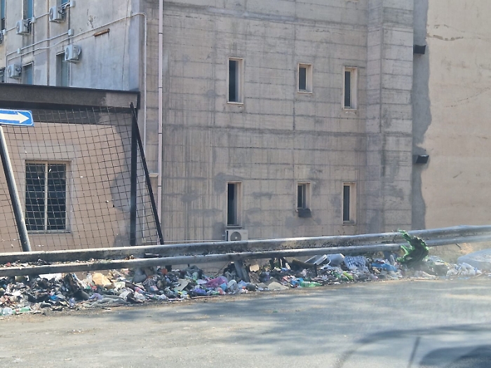 111310981-83fb77cd-03a3-4778-a7c1-a32364ef7d33