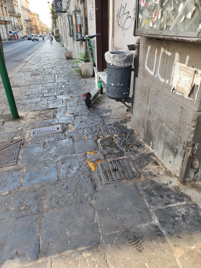 111312587-1dc627cc-5ed0-4b39-8b9a-2f50731f92e5