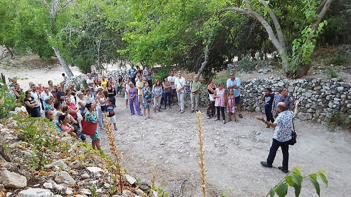 151920868-19ec3d68-303a-4869-b399-4dac89bd173c