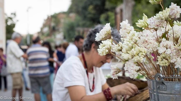 151933249-86e33233-404f-4fa9-a27e-09306f1d7b1f