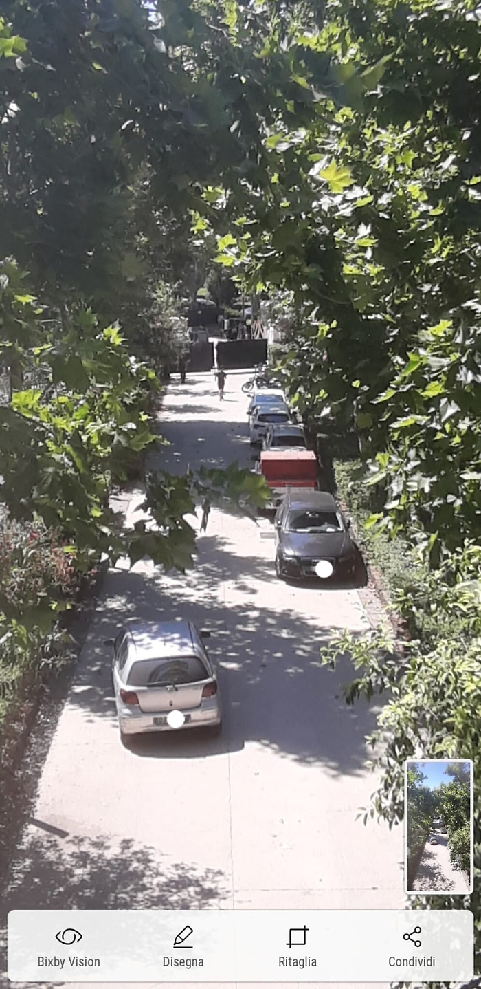 160548998-b79806be-90a0-4812-a7bc-2662387424af