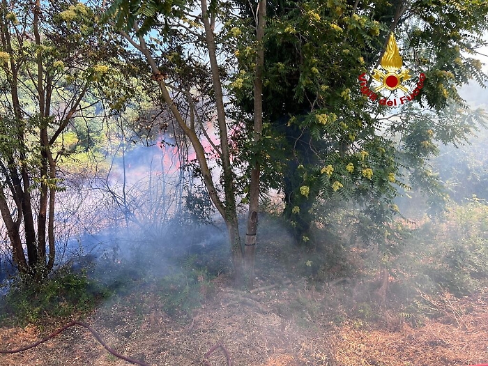 143931119-334665bf-35d9-4d9b-9216-6fce78a7f887