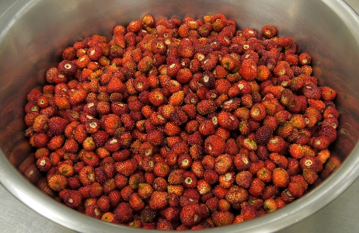 165446499-6eed0ab2-51f9-4752-bed4-ad093a03fcd9