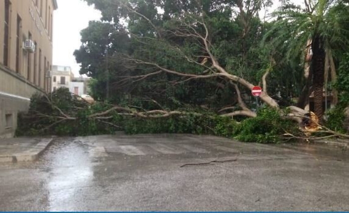 152354957-4dffbcfb-d577-4385-a40e-ff144f32fce7