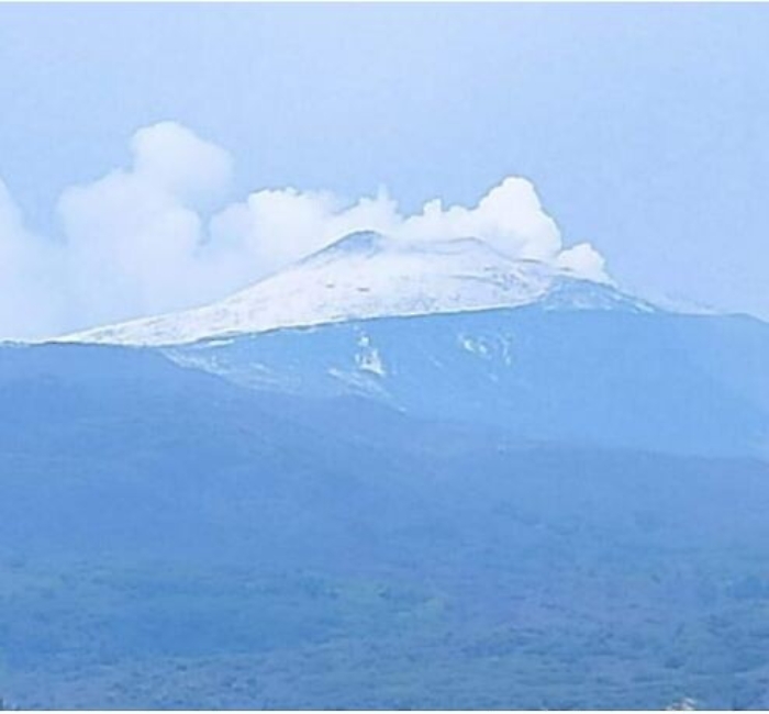 152454010-c257427b-cb0f-432f-8905-4e9e2bc396cf