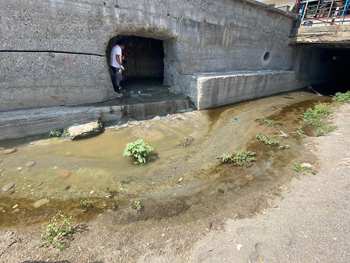 154237170-22b76d67-a5e4-411f-9a46-e9d26c0113ac