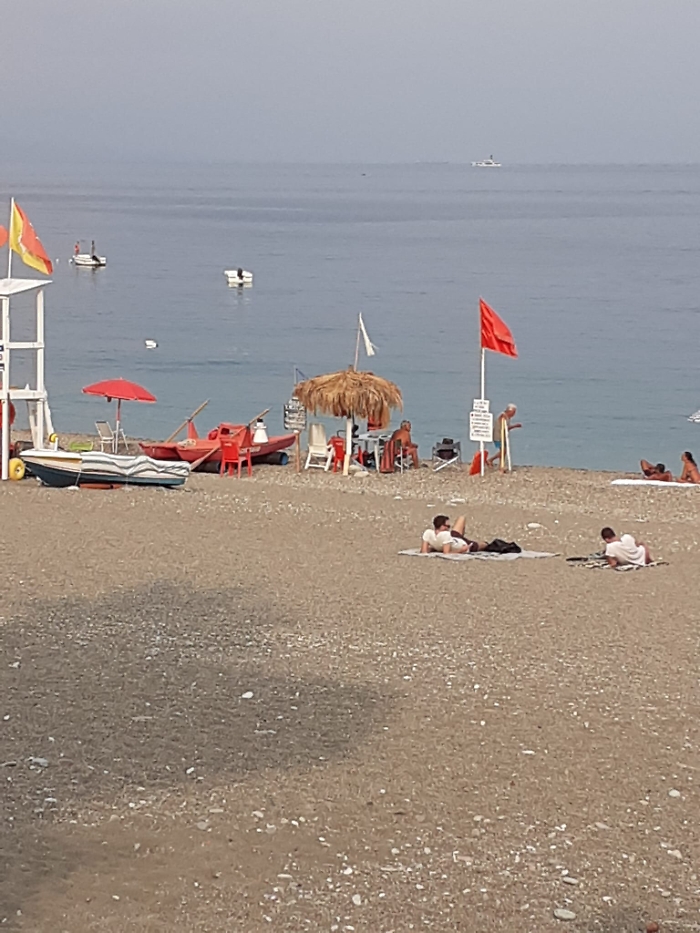 161854405-69679886-362b-4cbe-a390-d61373c41e96