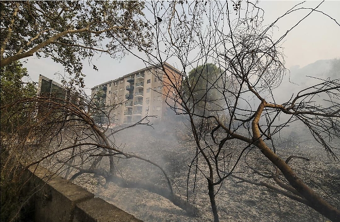 165053203-8c178956-d009-4e3b-ad8c-9d5c040b7154