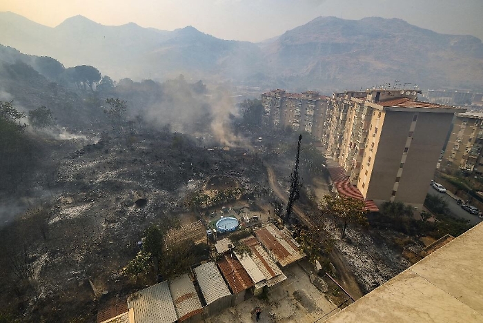 165054064-0064293b-e5cd-4f53-bdfa-cbdcd6c95ba2