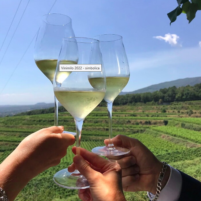 161747934-b26e2f76-cec8-4617-af0d-63aac8750234