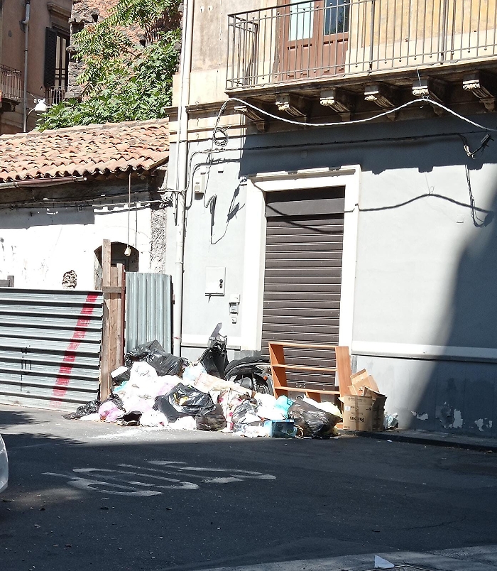 092735948-874d0f9c-8dbc-4574-aa4d-e634bfbb02dc