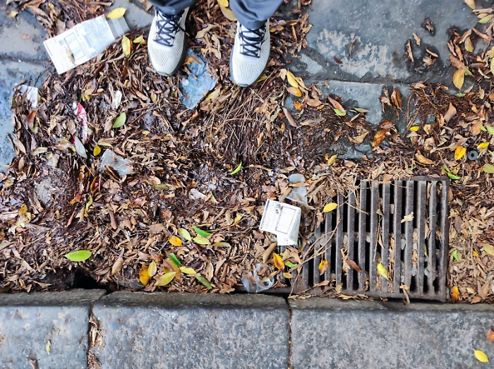 095318070-1b257e02-043a-47ab-ace0-f7fc57bc8924