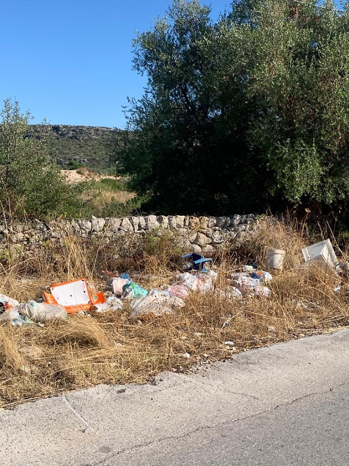 150712400-bd393912-0931-4591-90cc-be845c7edf09