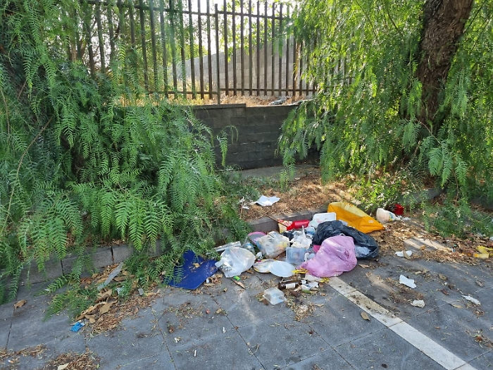 164111962-b430d795-84fa-49ad-9272-3113680ac445