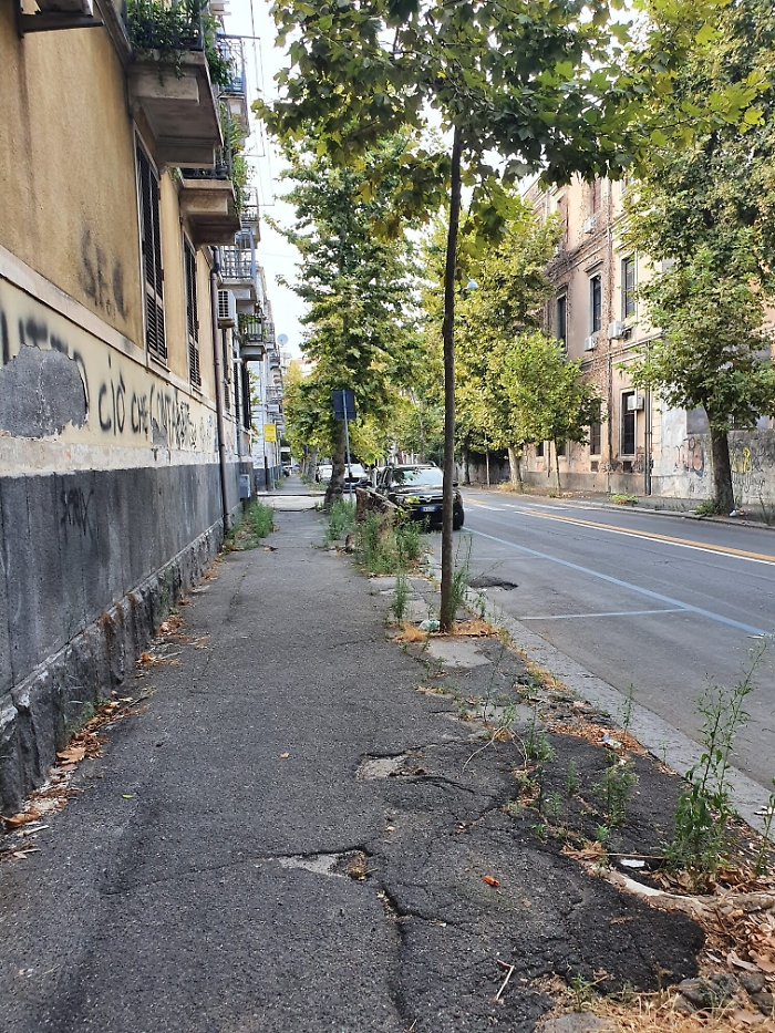 164348083-0fc9e555-677d-4c37-b64b-6d50e427abf2