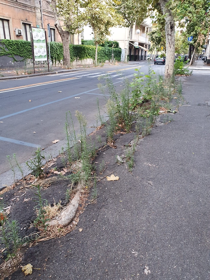 164349467-b91a54d5-7fef-47b9-a4ca-cc88089aa0b1