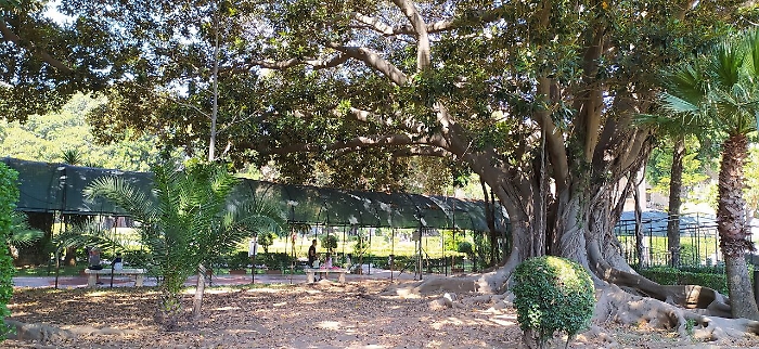 141905060-8be99a06-4134-478f-9e8a-ae1479a9b96a