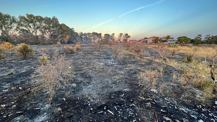 191440971-84bd8eec-403a-42f9-8946-5f0a2c404ac6