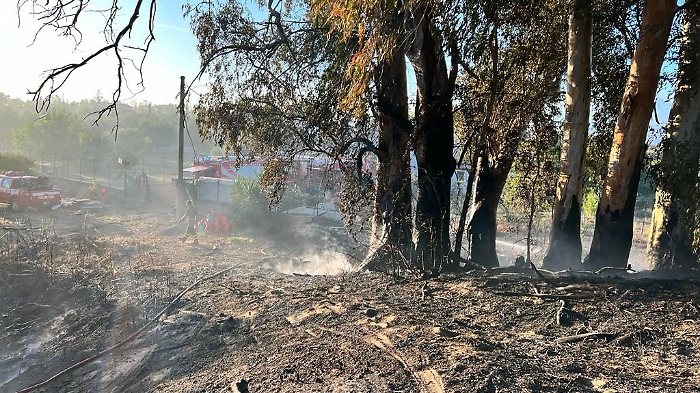 191441332-ce0c46c1-a431-4967-bfc7-c7e2659705b7