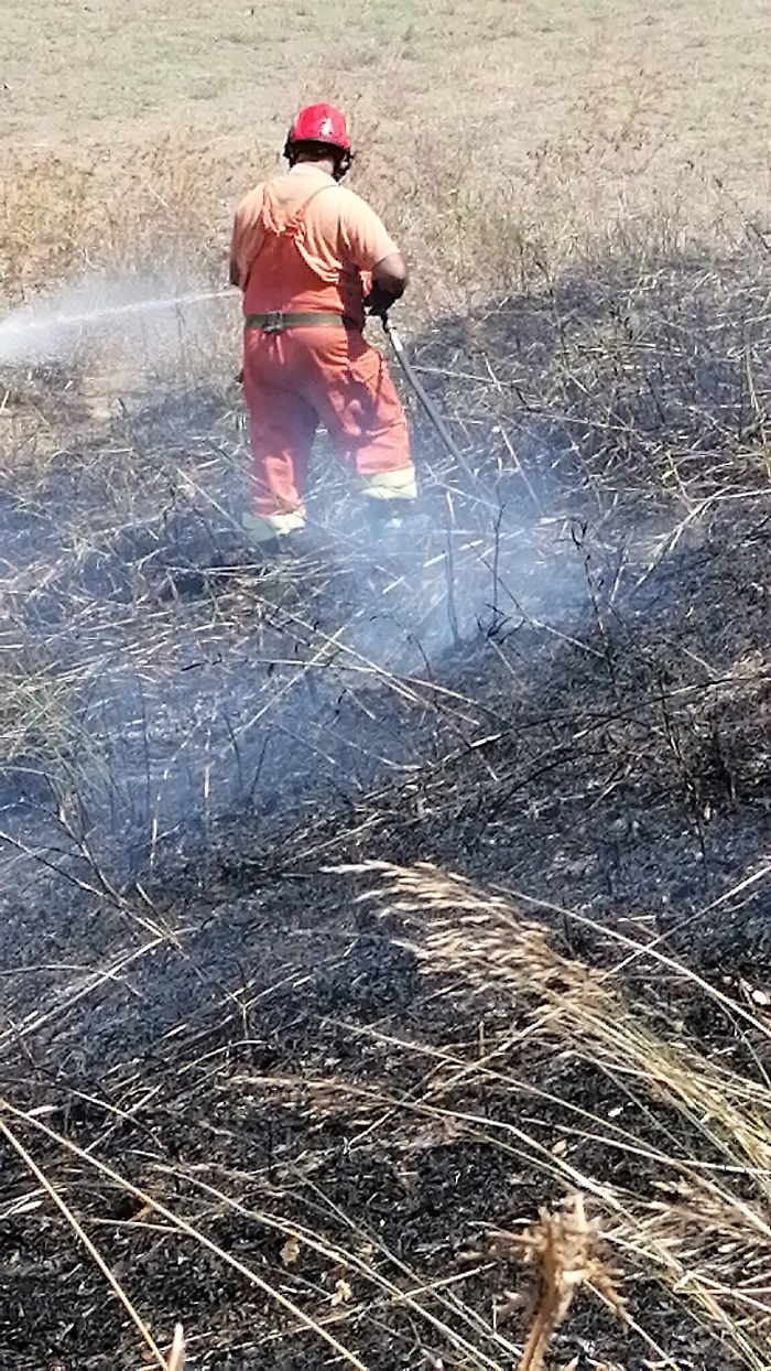 191442744-eb7567dd-032b-48f1-844a-c1a3b79fac45