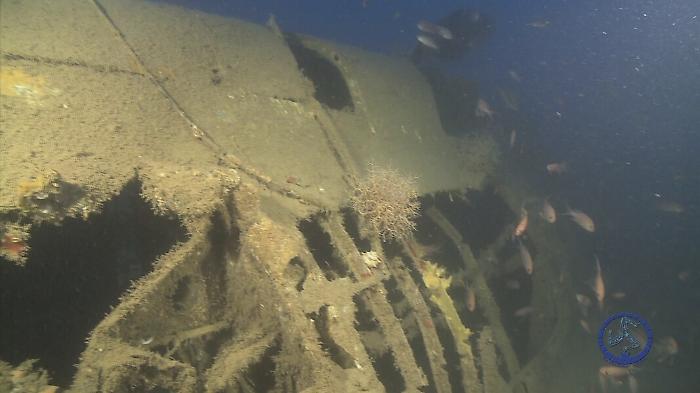 124936449-41cbb38e-3621-4323-8a50-d7f96b1779d7