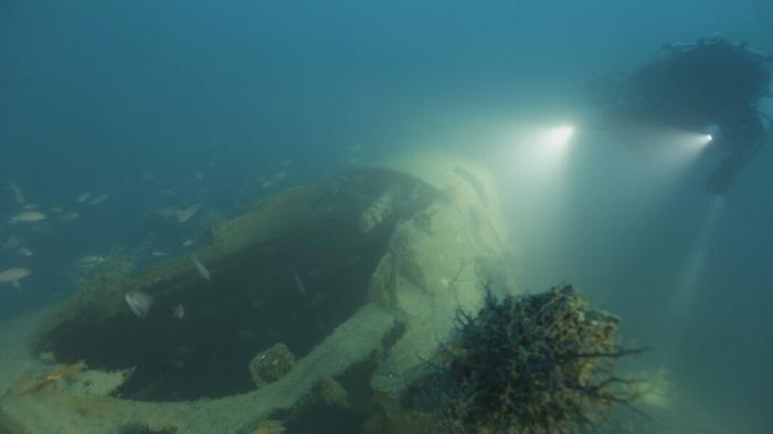 124939173-93607244-8bd7-4960-ae6a-b28d91fe1f4d