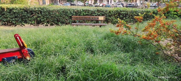 160146734-cf2e5d40-7689-44dc-934d-9ed03217218c