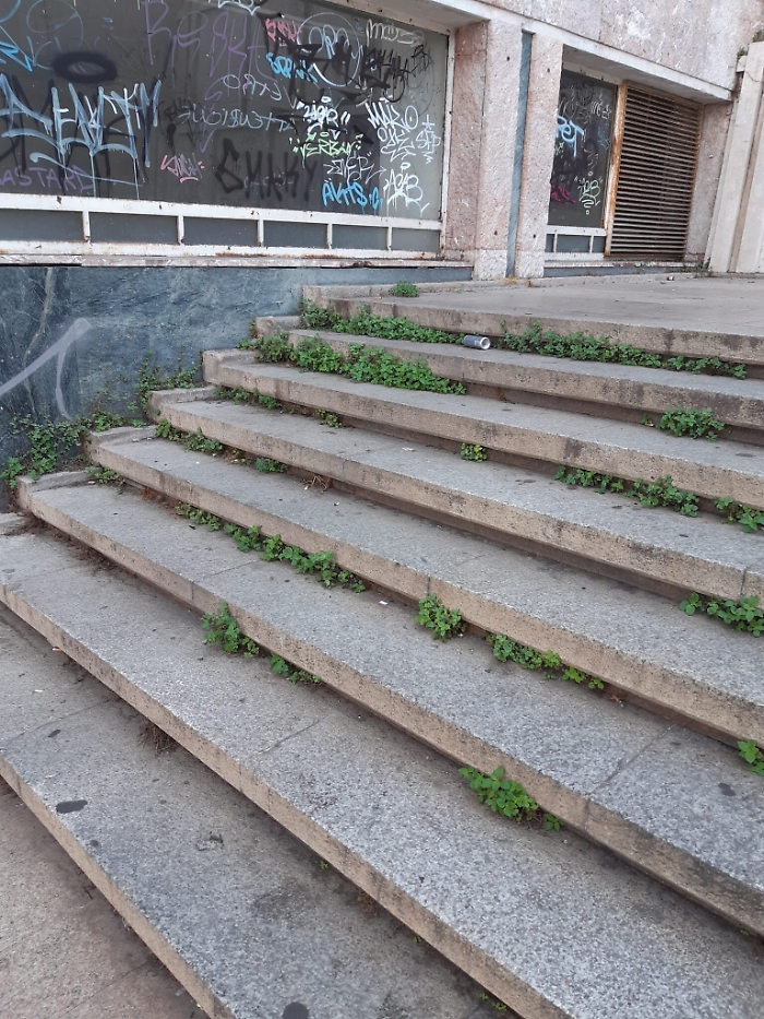 163522730-583a93b9-650e-4055-9b96-b953f849c6f4