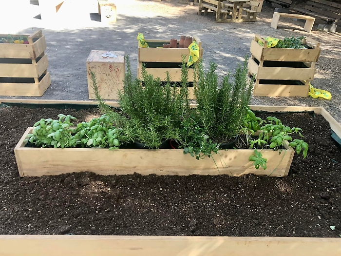 171725472-b0dc3daa-8698-438f-855e-110a8abd6ba4