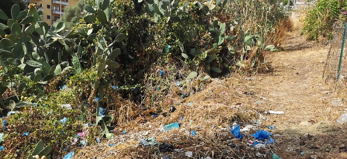 131525562-39c2883b-edc5-4638-87f8-6a3c7f0f4e91