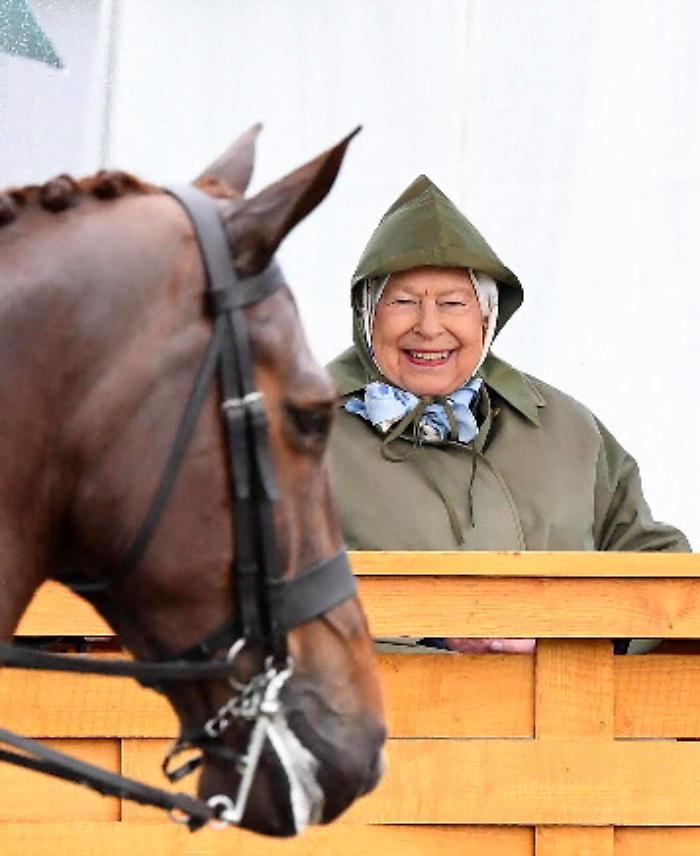 115029934-0232a08a-0a06-4d6d-8667-0f4e88104044