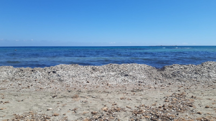 152012430-b3750168-f69e-4f0a-b626-e20b284f8eb1