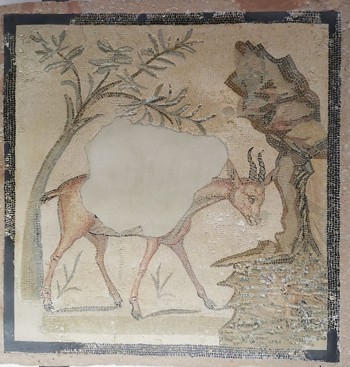 142253971-5916e42f-373c-4fc0-91c1-f573cf354285