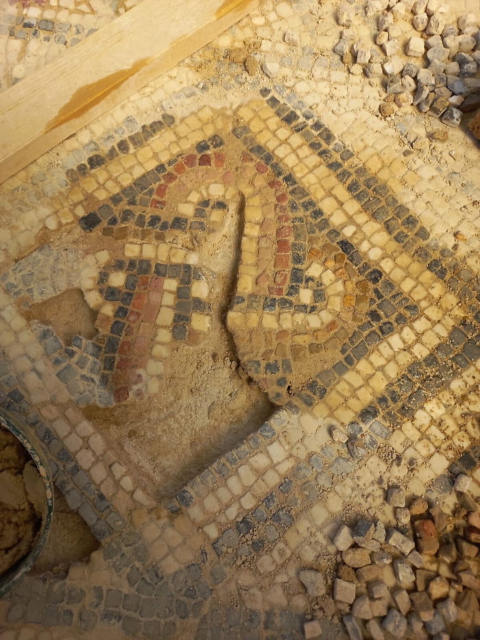 142255230-691b402c-d137-466a-9b08-b86f4252054d