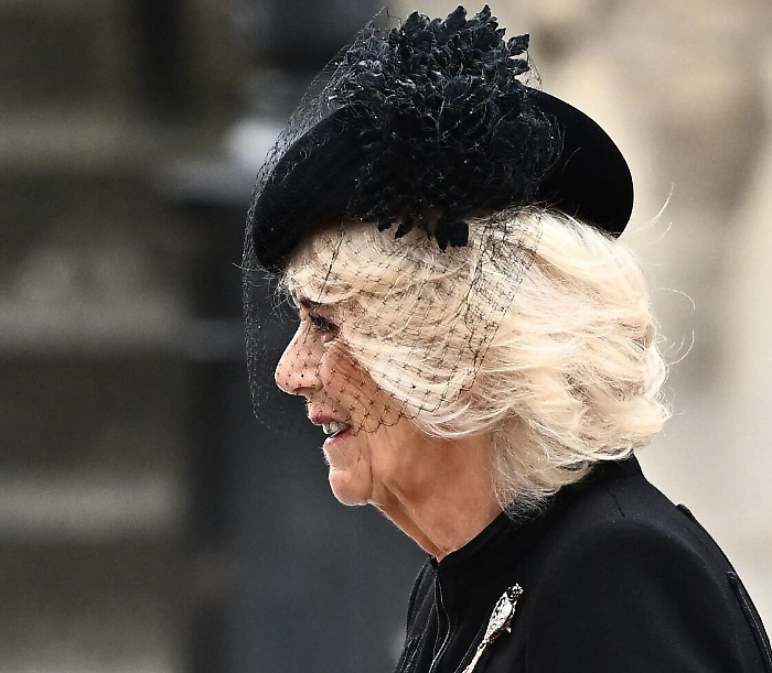 145636859-465a54df-30ab-40ec-8e08-1da25c2c534b