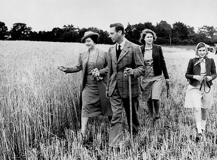 163346025-320327c2-e75e-4952-bfc0-7ae19a478f5f