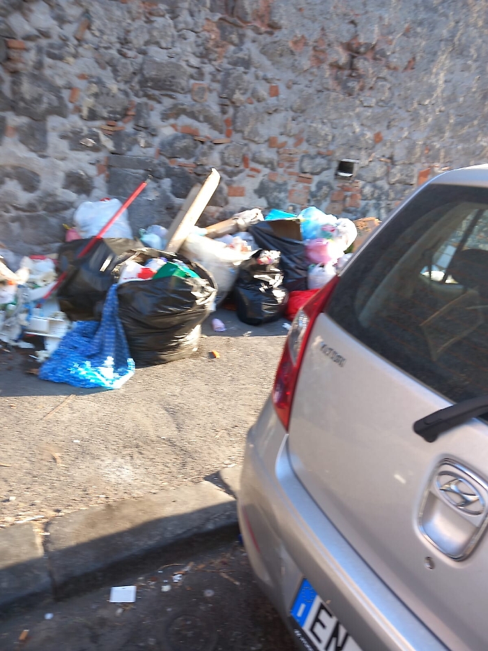 170255076-e0adbbc6-d42a-45be-928e-f75224893314