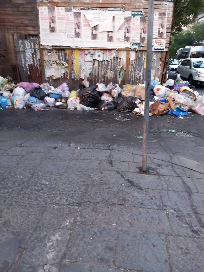 170255863-85a72f6f-c906-4d5b-846c-7ff838cbc12f