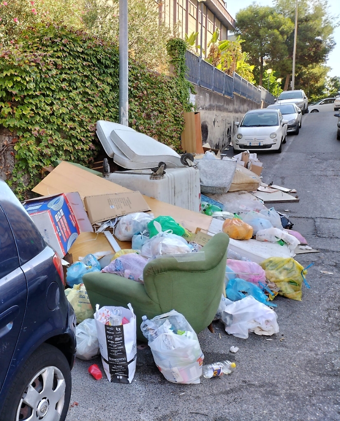 170256754-ea96b26b-6eff-4cca-90e8-2f24c1b1f1b4