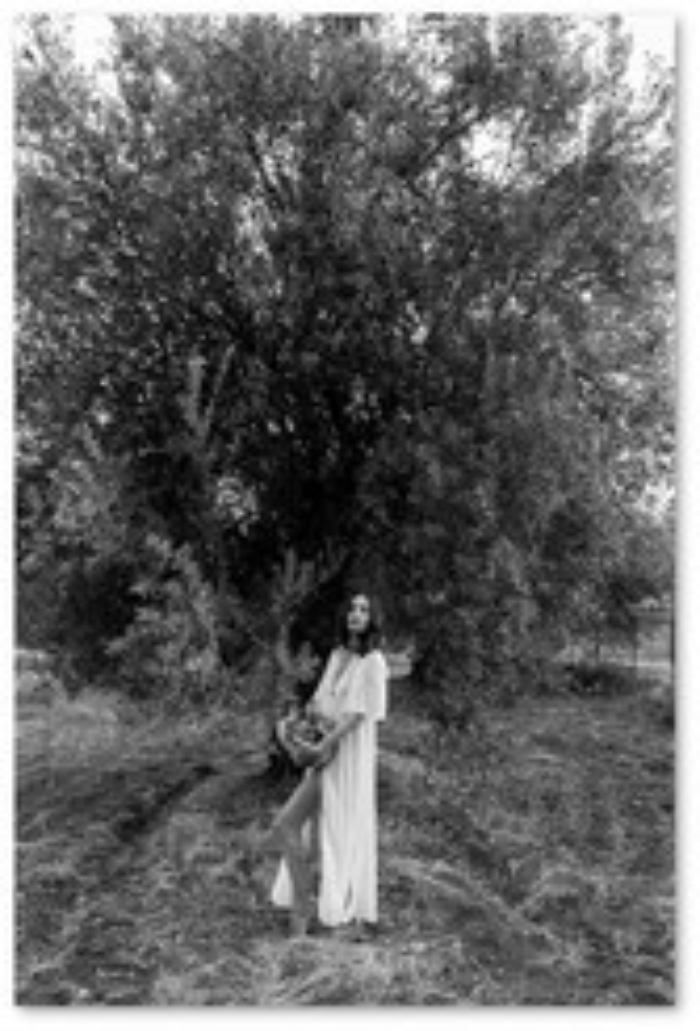 163503453-8f9ed9a6-aabd-4741-b67b-41caaada124c