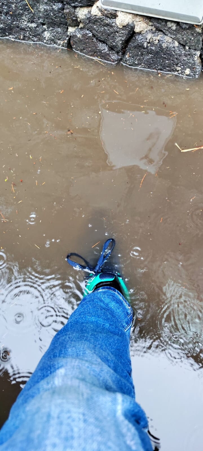 163719168-81503687-b8d9-4fb6-a1b0-97f3c070de06