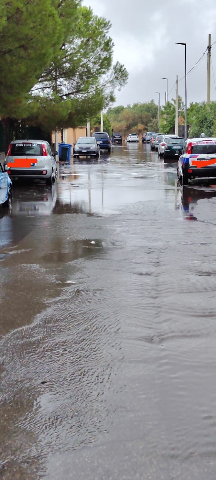 163719237-bfa5ec13-801a-4840-9a30-823c160a06e0