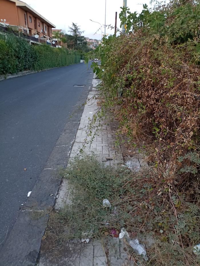 101645230-6c44b37e-4095-4c30-82ed-a25c7fdceedb