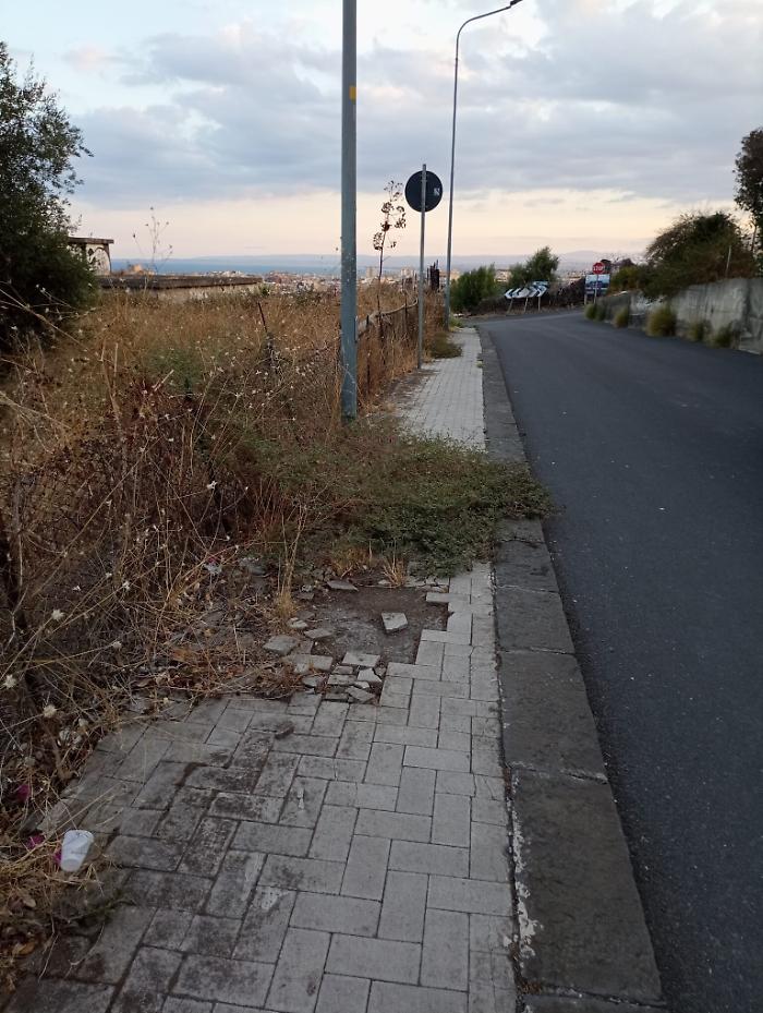 101645731-2e26612d-27e8-4ccc-99f3-40c994ee9d2a