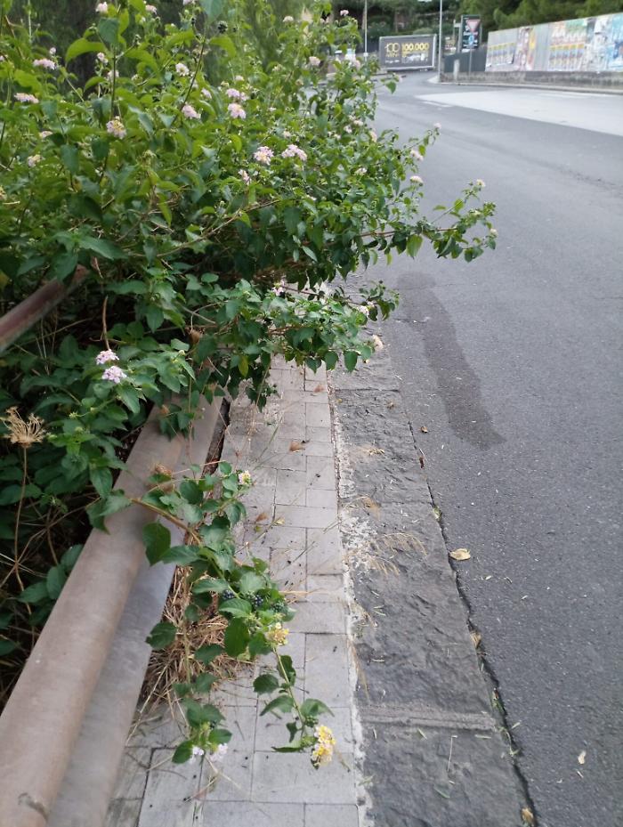 101647660-cdac2bc2-2188-45f8-b9b3-5e5f78831deb