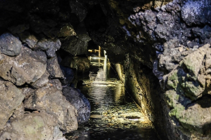 114005121-e1515dbb-a472-4c17-8d6c-5fccd8217267