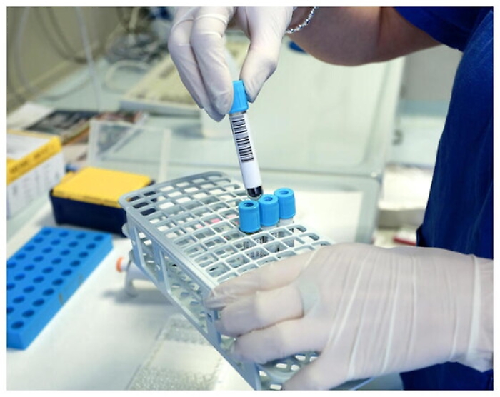 084617145-38583168-c818-4219-9266-1bb4a78bc385